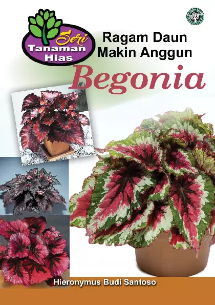 Begonia Ragam Daun Makin Anggun