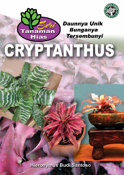 Cryptanthus daunnya unik bunganya tersembunyi