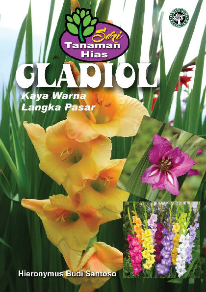 Gladiol Kaya Warna Langka Pasar