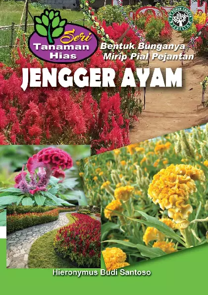 Jengger ayam bentuk bunganya mirip pial pejantan