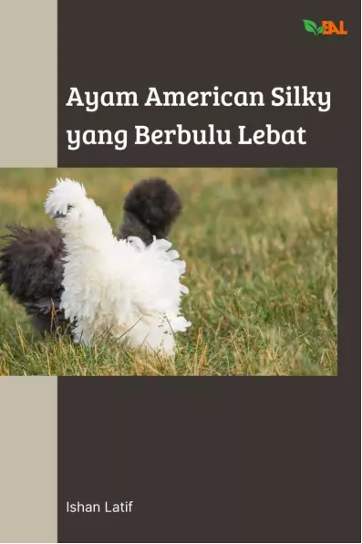 Ayam American Silky yang Berbulu Lebat