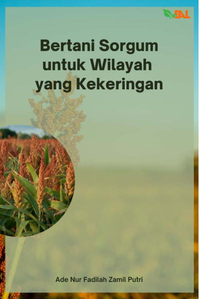 Bertani Sorgum untuk Wilayah yang Kekeringan