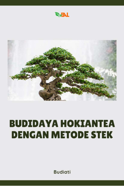 Budidaya Hokiantea dengan Metode Stek