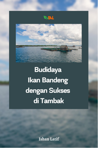 Budidaya Ikan Bandeng dengan Sukses di Tambak