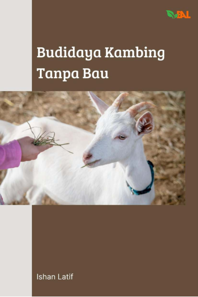 Budidaya Kambing Tanpa Bau