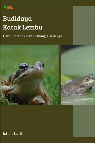 Budidaya Katak Lembu: Cara Beternak dan Peluang Usahanya