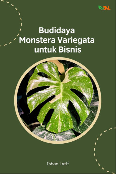 Budidaya Monstera Variegata untuk Bisnis