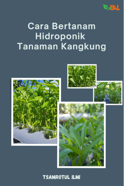 Cara Bertanam Hidroponik Tanaman Kangkung