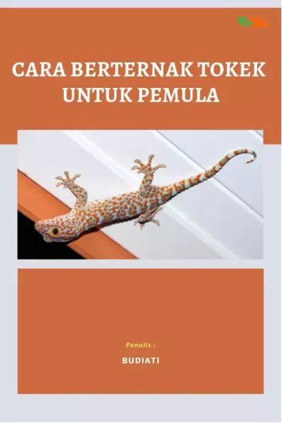 Cara Berternak Tokek untuk Pemula