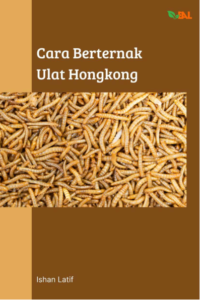 Cara Berternak Ulat Hongkong