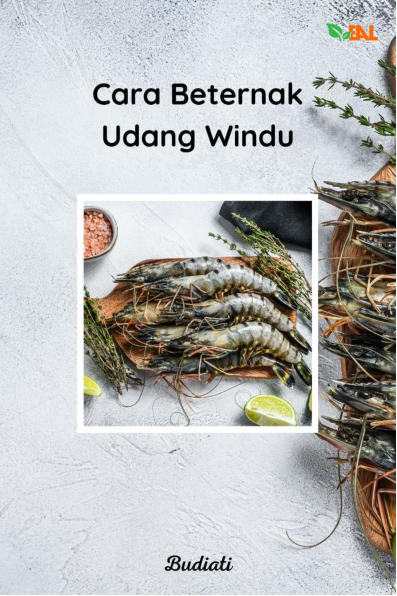 Cara Beternak Udang Windu