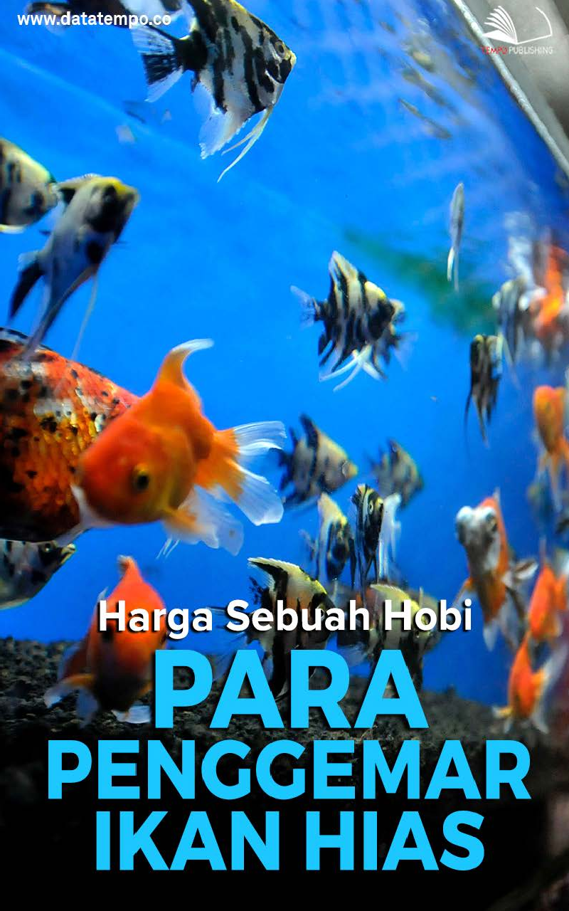 Harga Sebuah Hobi Para Penggemar Ikan Hias