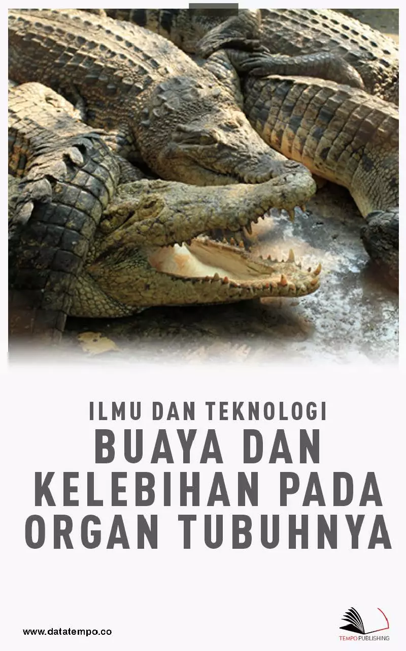 Ilmu dan Teknologi: Buaya dan Kelebihan pada Organ Tubuhnya