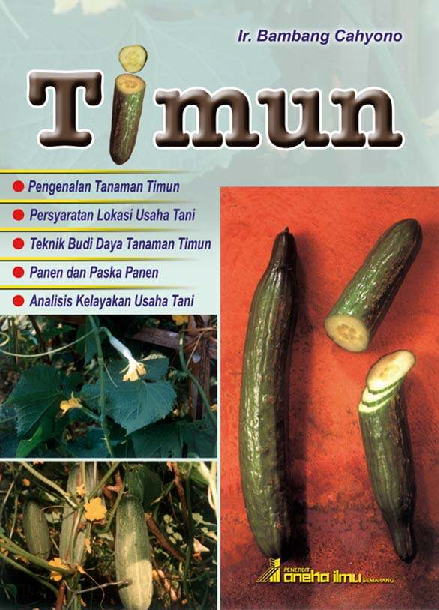 Timun