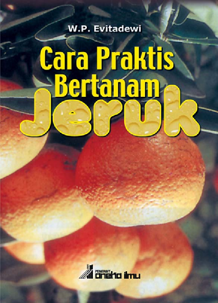 Cara Praktis Bertanam Jeruk