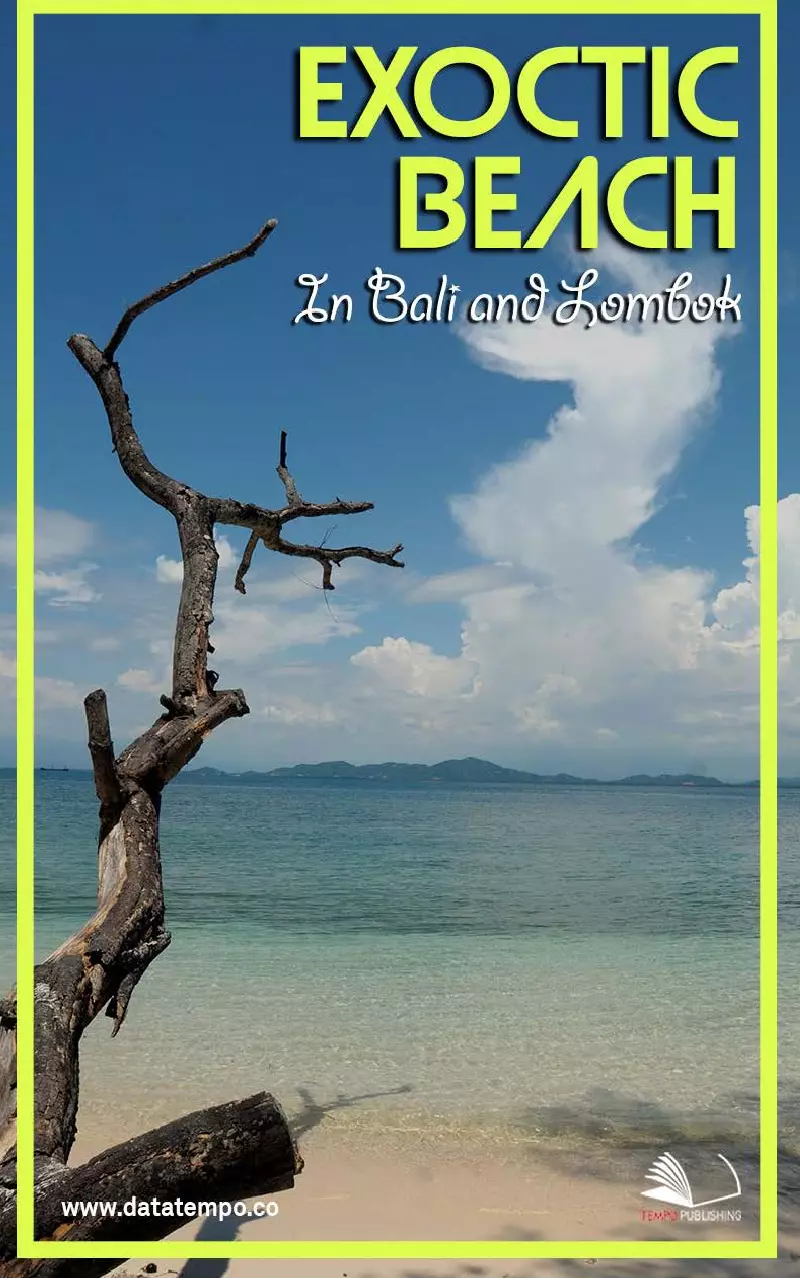 Exotic Beach In Bali and Lombok