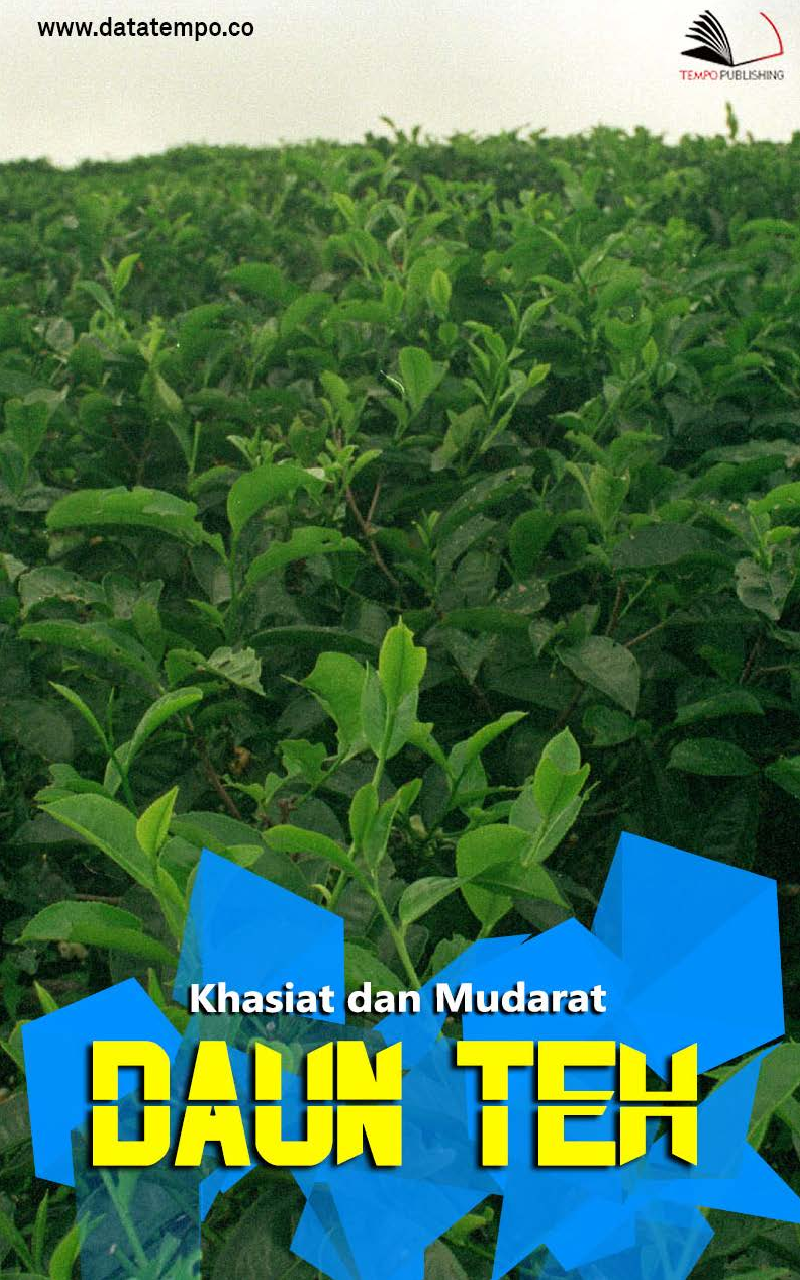 Khasiat dan Mudarat Daun Teh'