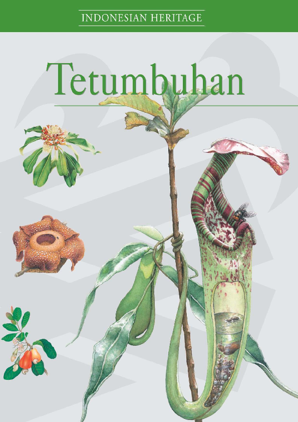 Indonesian Heritage 4: Tetumbuhan