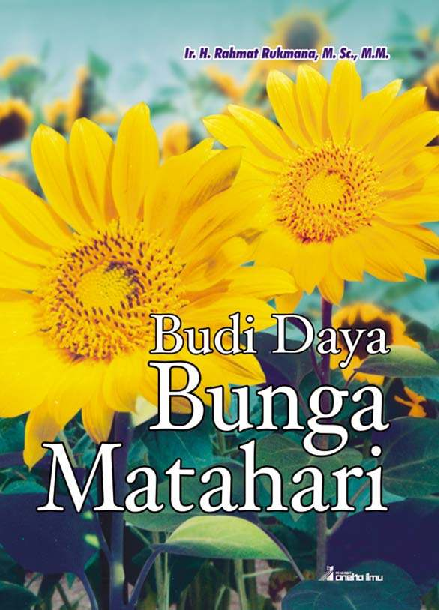 Budidaya Bunga Matahari