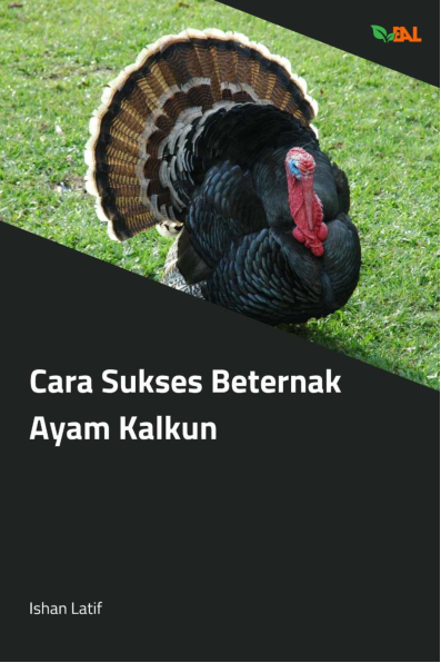 Cara Sukses Beternak Ayam Kalkun