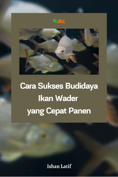 Cara Sukses Budidaya Ikan Wader yang Cepat Panen