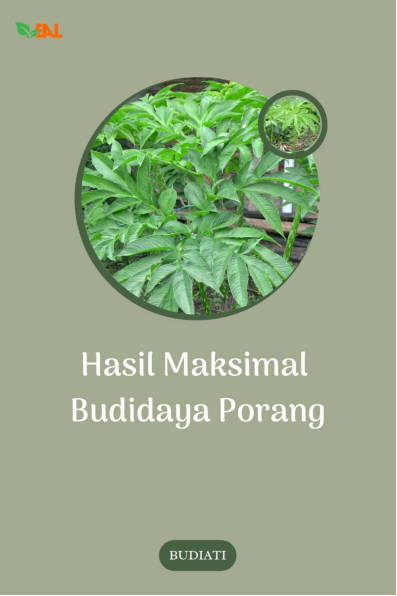 Hasil Maksimal Budidaya Porang