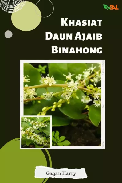 Khasiat Daun Ajaib Binahong