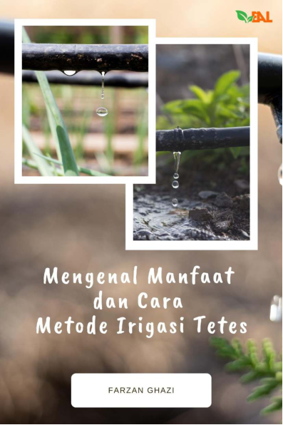 Mengenal Manfaat dan Cara Metode Irigasi Tetes