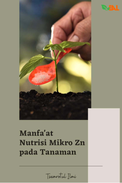 Manfa'at Nutrisi Mikro Zn pada Tanaman