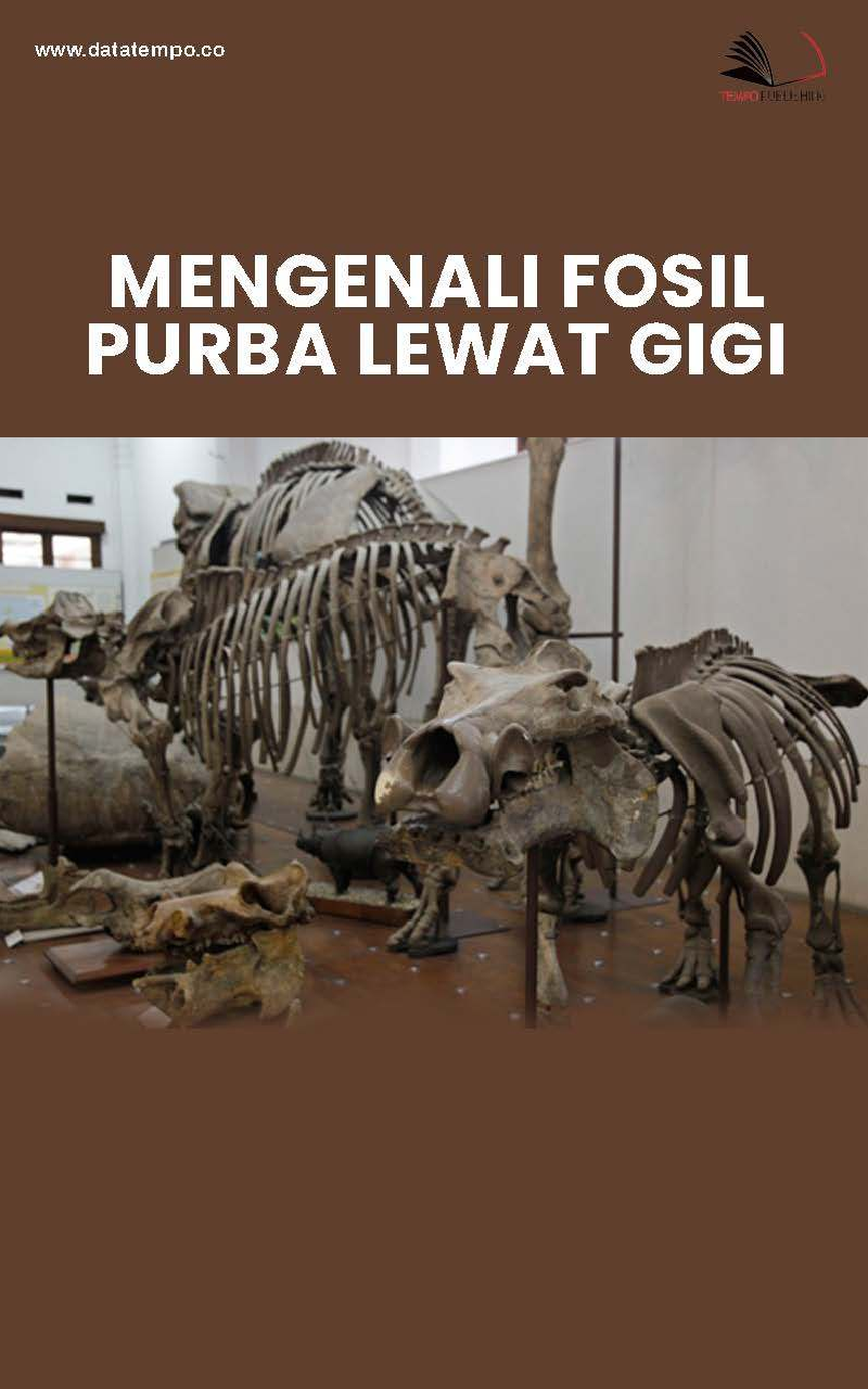 Mengenali Fosil Purba Lewat Gigi