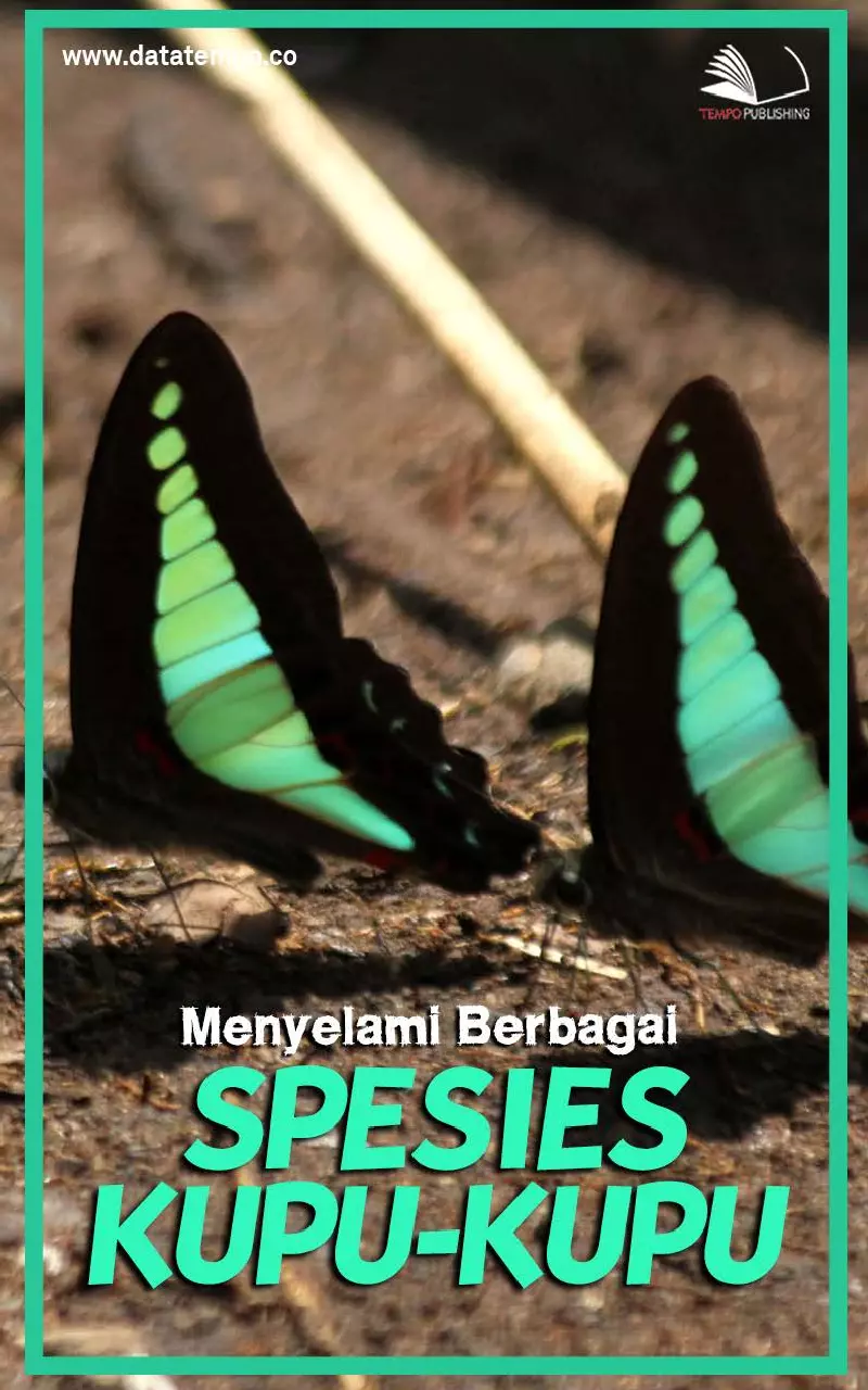 Menyelami Berbagai Spesies Kupu-kupu