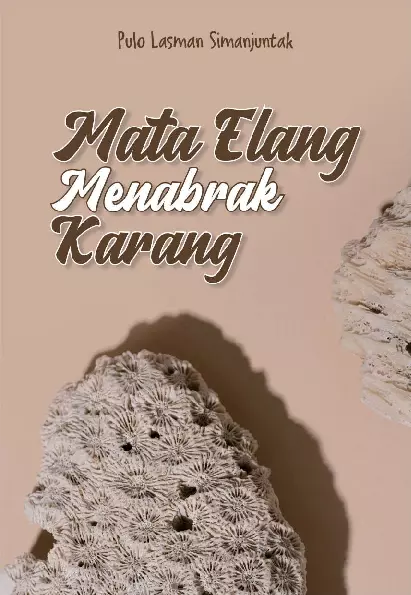 Mata Elang Menabrak Karang