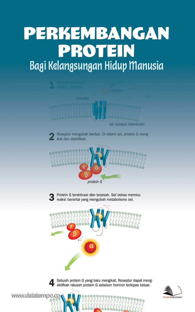 Perkembangan Protein Bagi Kelangsungan Hidup Manusia