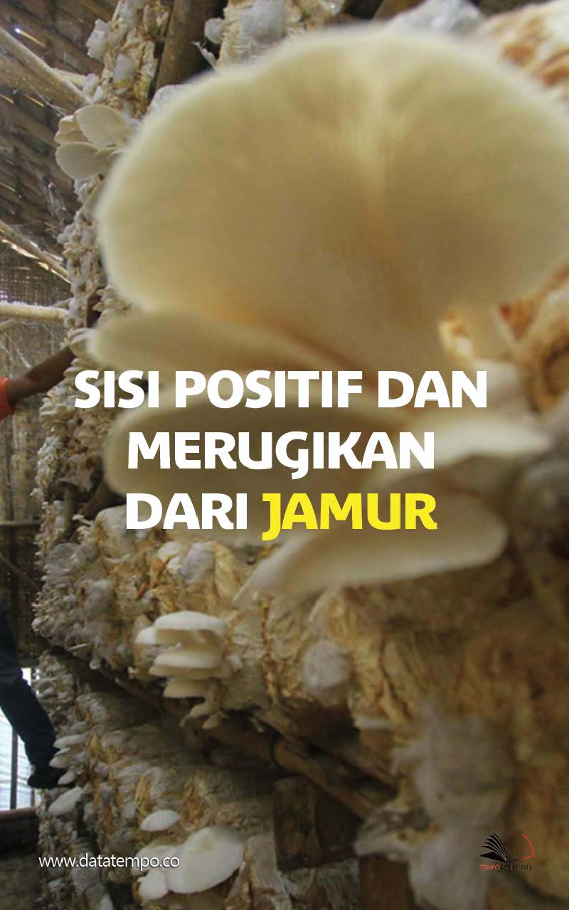 Sisi Positif dan Merugikan dari Jamur