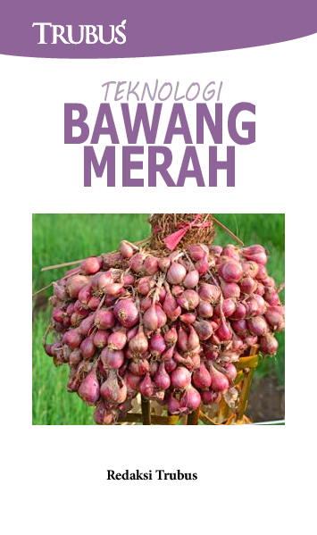 Teknologi Bawang Merah