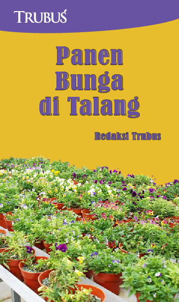 Panen Bunga di Talang