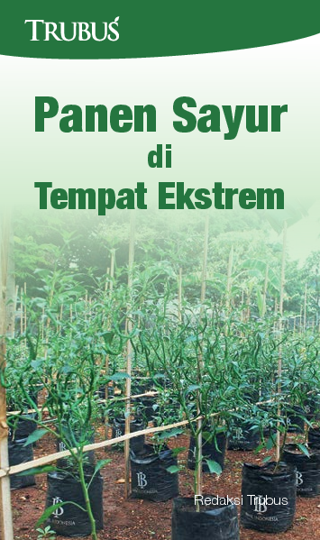 Panen Sayur di Tempat Ekstrem