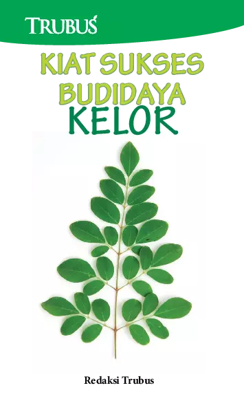 Kiat Sukses Budidaya Kelor