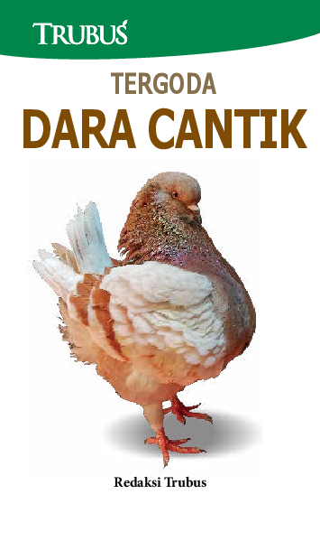 Tergoda Dara Cantik