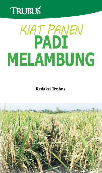 Kiat Panen Padi Melambung