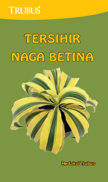 Tersihir Naga Betina