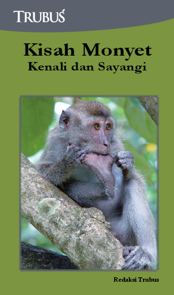 Kisah Monyet : Kenali dan Sayangi