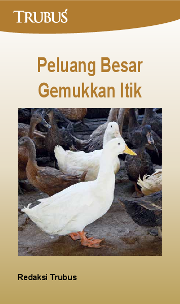 Peluang Besar Gemukkan Itik