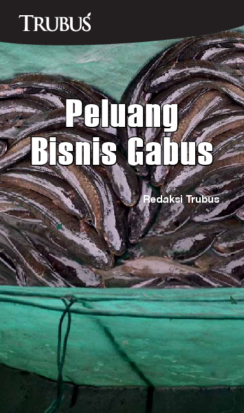 Peluang Bisnis Gabus