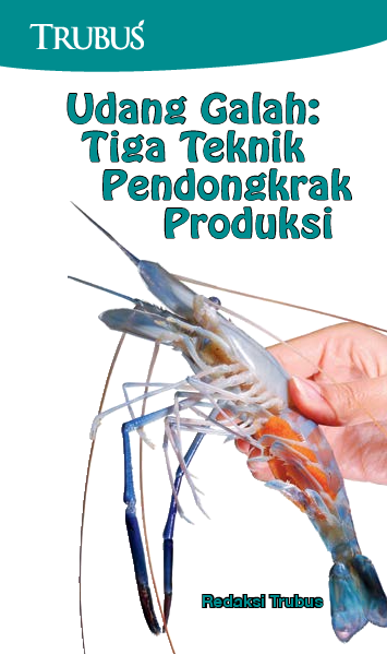 Udang Galah: Tiga Teknik Pendongkrak Produksi