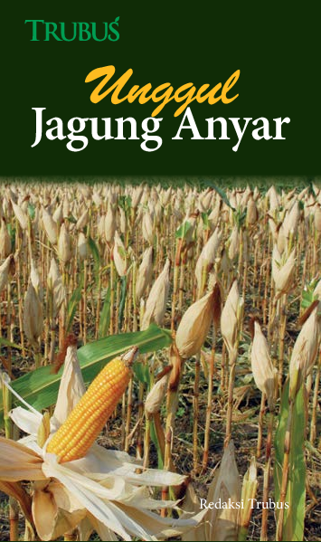 Unggul Jagung Anyar