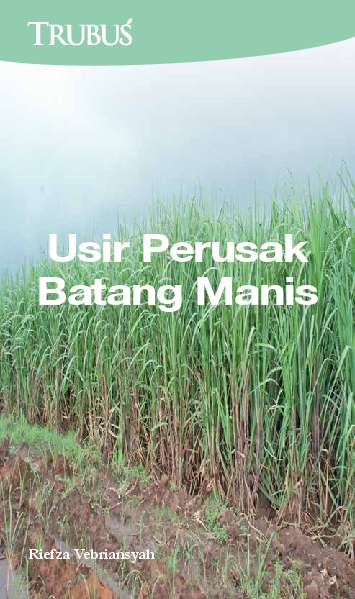 Usir Perusak Batang Manis