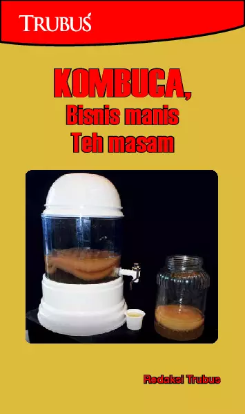 Kombuca, Bisnis Manis Teh Masam