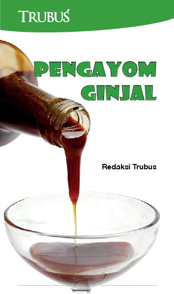 Pengayom Ginjal