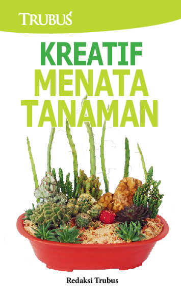 Kreatif Menata Tanaman